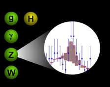 Ein internationales Team von Teilchenphysikern identifizierte 15 Z<sup>0</sup>-Bosonen in über 500 Millionen Teilchenkollisionen im ehemaligen HERA-Beschleuniger bei DESY